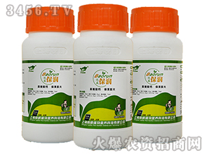 ��������(r��n)-����