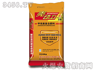 ���ɻ���-�ך��؏�(f��)�Ϸʣ�15-8-25��