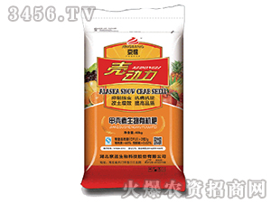 ���ɻ���-������