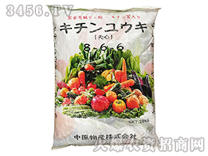 ���ڷ���8-6-6-�˸���