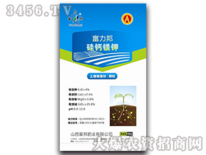 ���}�V�-������