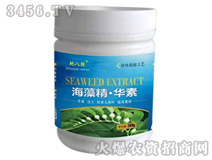 ���徫���A��-�ذ��r-��Խ����