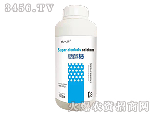 �����Ǵ��}-�ذ��r-��Խ����