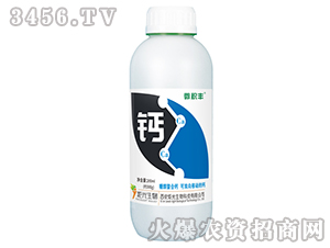 �Ǵ������}-΢�e�S-���