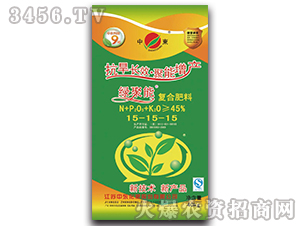 �ͺϷ���15-15-15-�G����-�Ж|