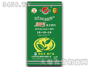 48%�ͺϷ���16-16-16-�G����-�Ж|