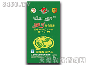 �ͺϷ���18-12-10-�G����-�Ж|