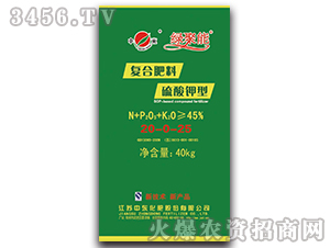 ������͏ͺϷ���20-0-25-�G����-�Ж|