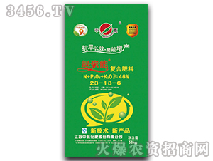 �ͺϷ���23-13-6-�G����-�Ж|