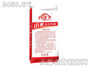 С������ˎ��-���r����