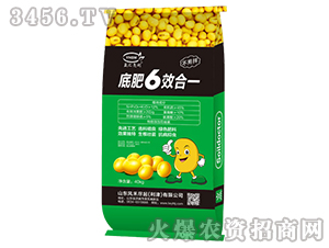 �׷�6Ч��һ-���R