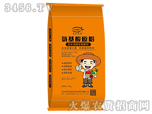 ȫˮ��΢�������-������ԭ��