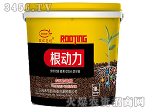 ����(d��ng)��-���R