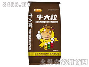 ��ǵ��נI�B(y��ng)Һ-ţ����-���Wɭ