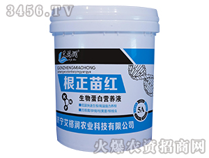 ���ﵰ�נI(y��ng)�B(y��ng)Һ-������t-��(r��n)�ʘI(y��)