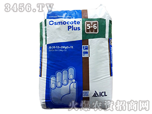 �W�G��501̖(h��o)-�����r(n��ng)�I(y��)