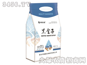 �ڽ���-�ں�����