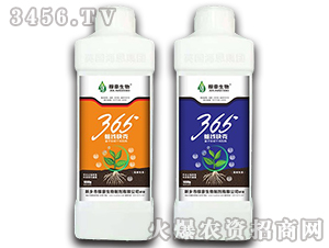 365�������2-�ں�����