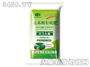 �������ЙC(j��)��-���f���-���B��