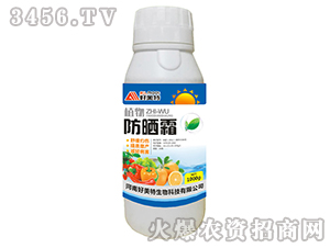 ֲ�����˪-������