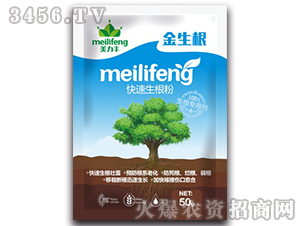 ����������-������-�����S