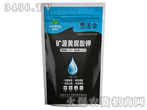 �VԴ�S�����-������-�����S