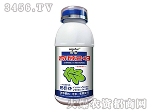 奇碩2+3（葉面噴施專用）-桫欏-沃華肥料