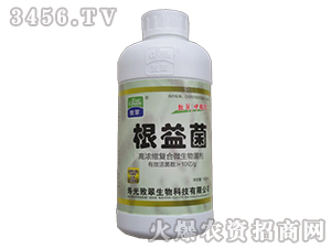 �ߝ�s�ͺ�΢�������-�����-�´�����