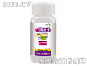 �����-׿��-����