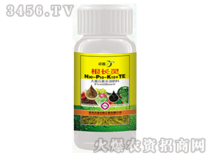 ���L�`-׿��-����