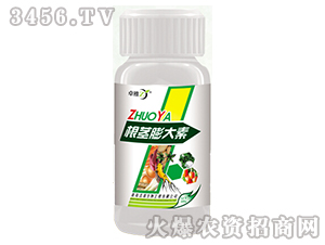 ���o�����-׿��-����