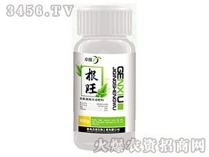 ����-׿��-����