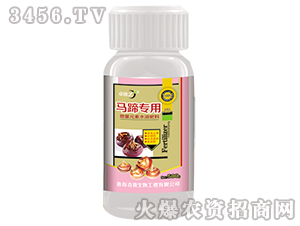 �R�㌣��-׿��-����