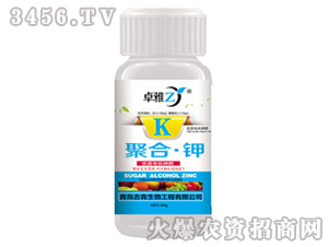 �ۺϡ��-׿��-����