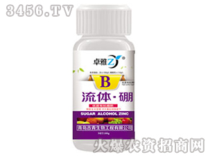 ���w����-׿��-����