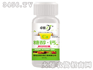 �Ǵ����}-׿��-����