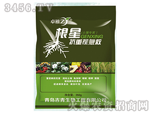 ���ǿ��ز缱��-׿��-����