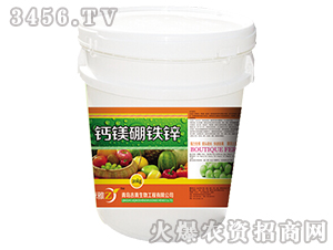 �}�V���F�\-׿��-����