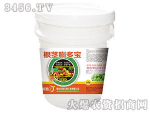 ���o�����-׿��-����