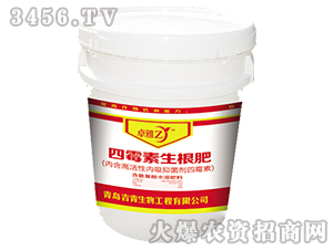 ��ù��������-׿��-����