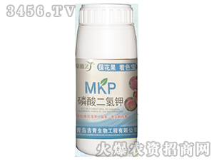 ��������-׿��-����