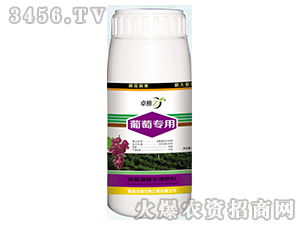 葡萄專用-卓雅-吉青