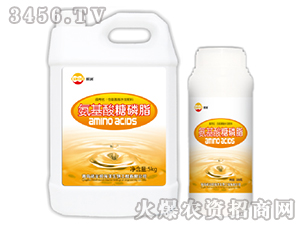 ����������֬-����(r��n)-�Z����