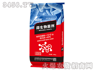 40kg΢�������-�ٝ�-������