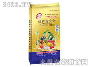 黃腐酸鉀沖施肥-植物黃金鉀-潤(rùn)林農(nóng)業(yè)