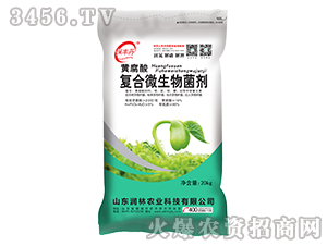 黃腐酸復合微生物菌劑-保豐丹-潤林農(nóng)業(yè)