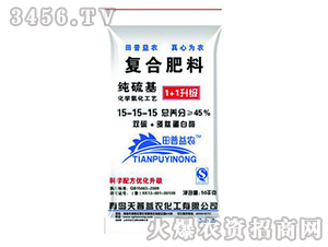 ��(f��)�Ϸ���15-15-15-�p���-������