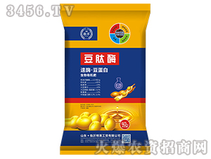 ��ø�������������ЙC(j��)��-����ø-���׷ʘI(y��)