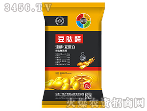 ��ø������΢�������-����ø-���׷ʘI(y��)