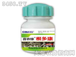 ���࿵-ϲ�r��-�W��ɭ